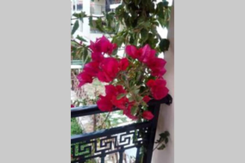 Apartment Meandros Garden View